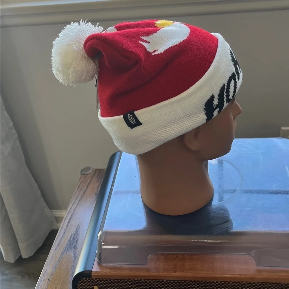 Cheerful Red and White Santa Hat with Fun Design